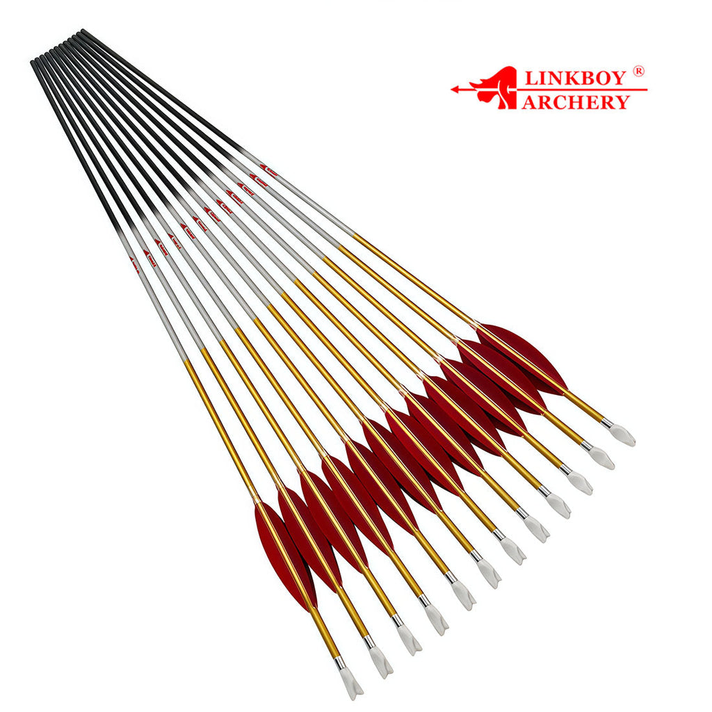 12-Pack Id6.2mm Gold Carbon Arrows 4-Pack 4inch Target, Shuttle Feather Y Insert Nock
