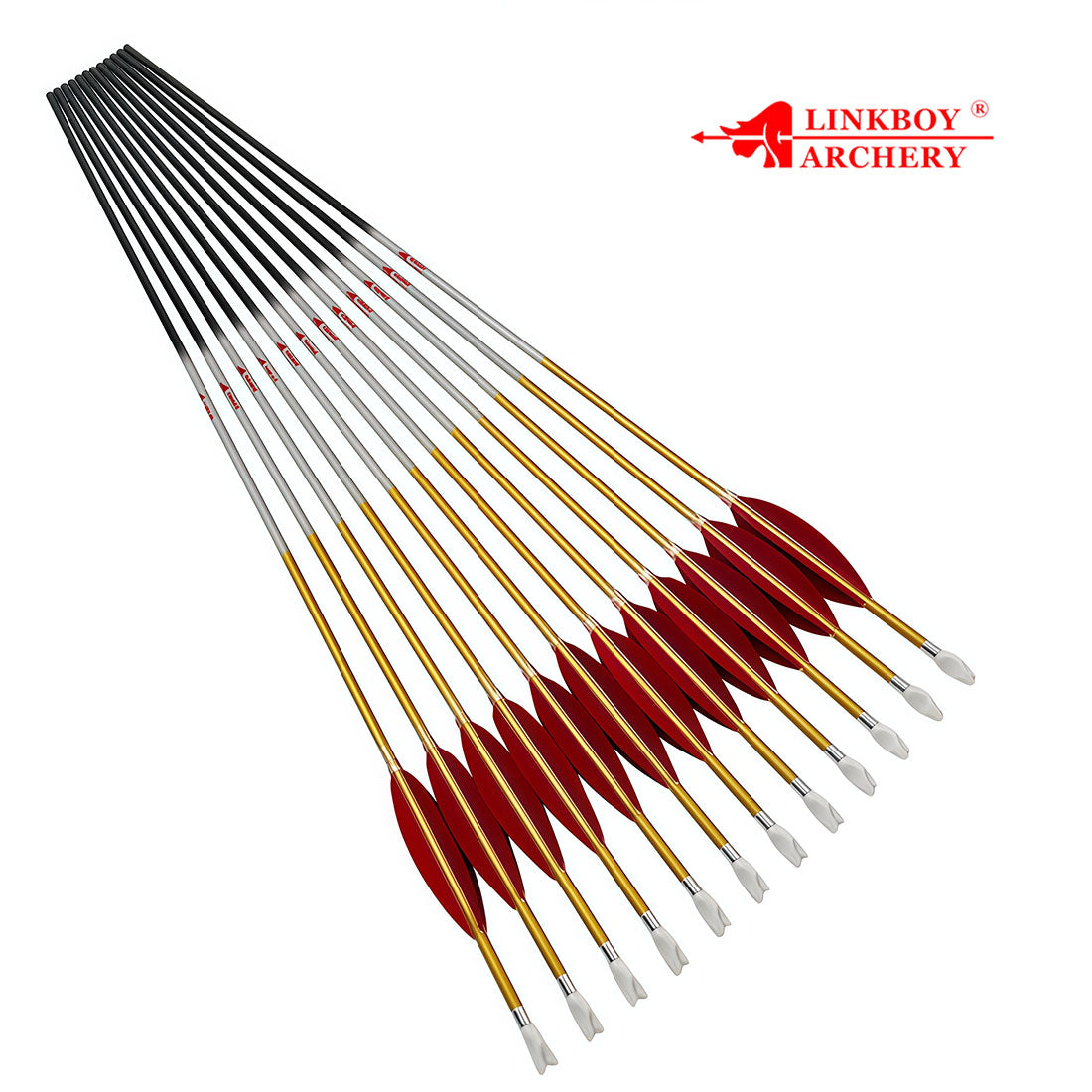 12-Pack Id6.2mm Gold Carbon Arrows 4-Pack 4inch Target, Shuttle Feather Y Insert Nock