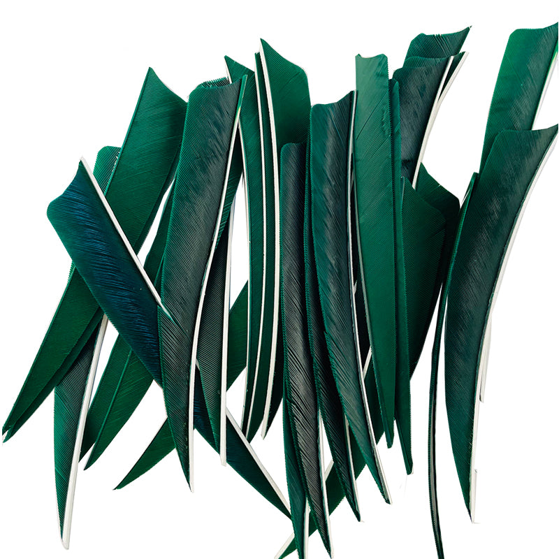50-Pack 5" Fletching Turkey Feather Shield Shape Right Wing Vanes Traditional Compound Bow Arrow