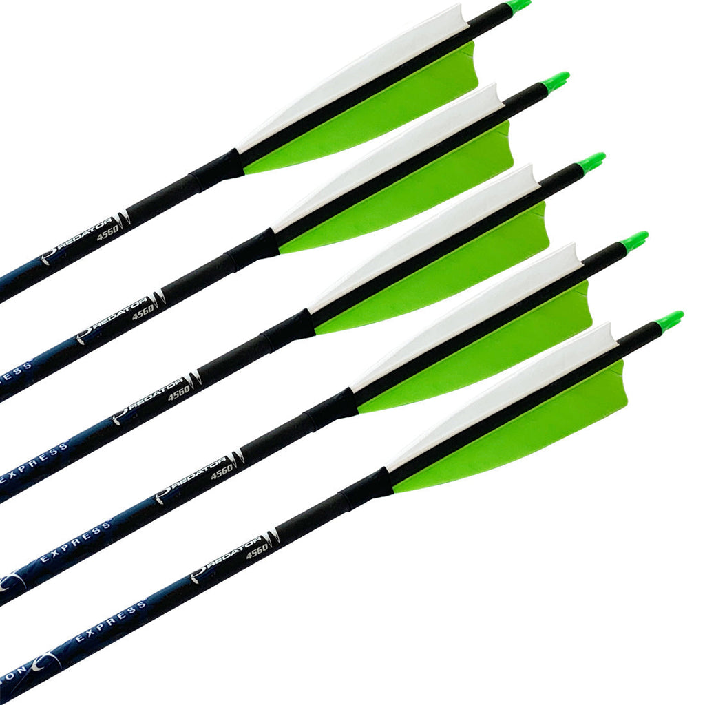 12-Pack Carbon Arrow Spine 200 300 340 400 500 600 700 800 75gr