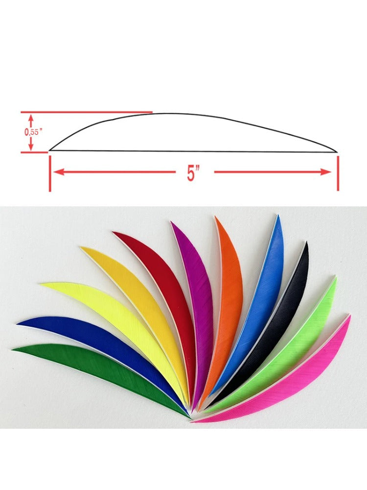 50-Pack Banana Shape 5'' Turkey Feather Fletching, Natural Arrow for Bow & Target