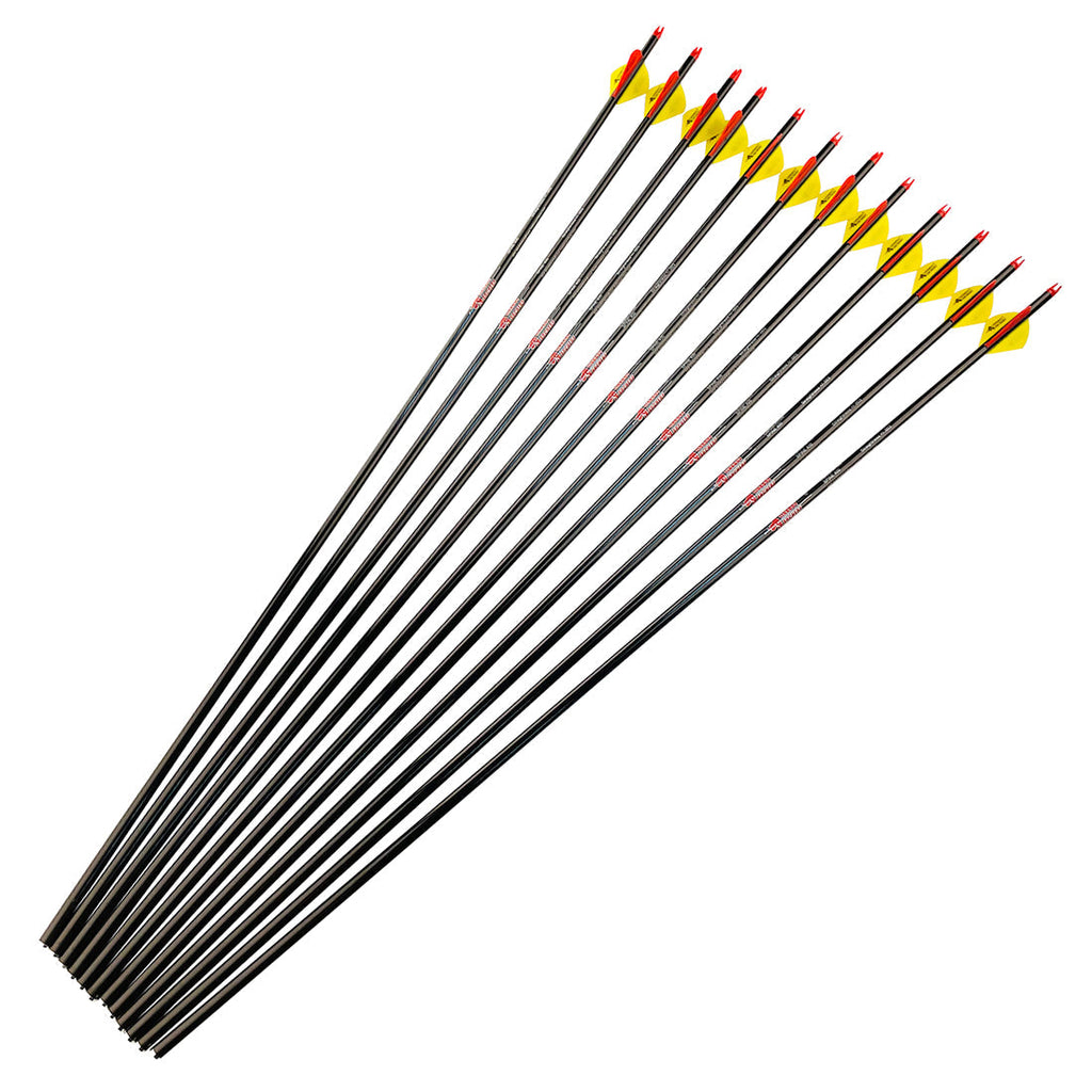 12-Pack Pure Carbon Arrows ID6.2mm, Spine 250-800, 30/32", 2" Vanes, 100gr Tips, Compound Bow