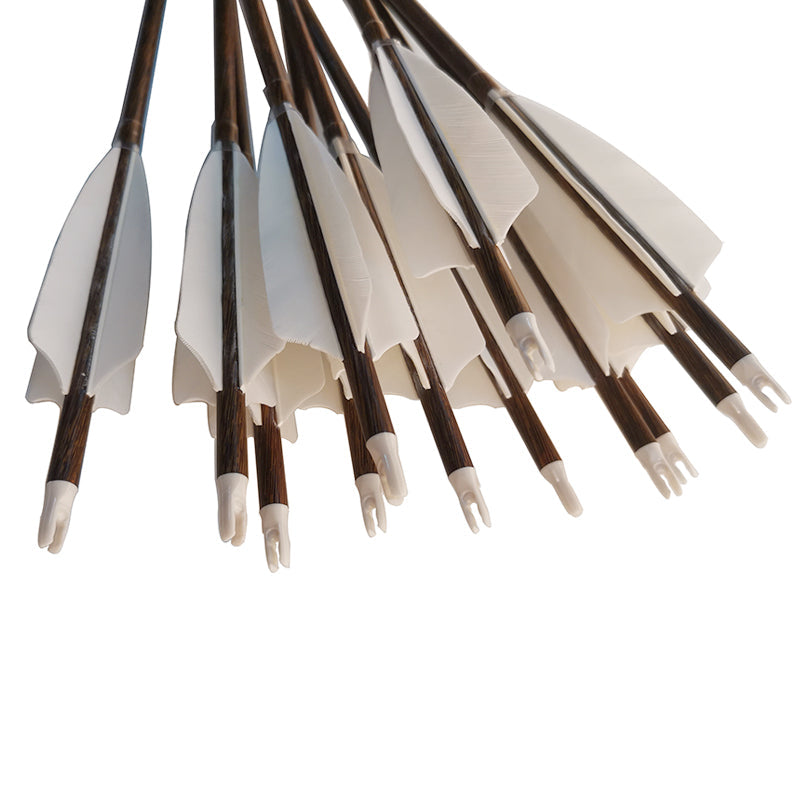 Carbon Hunting Arrows with 100 gr Tips, 12-Pack