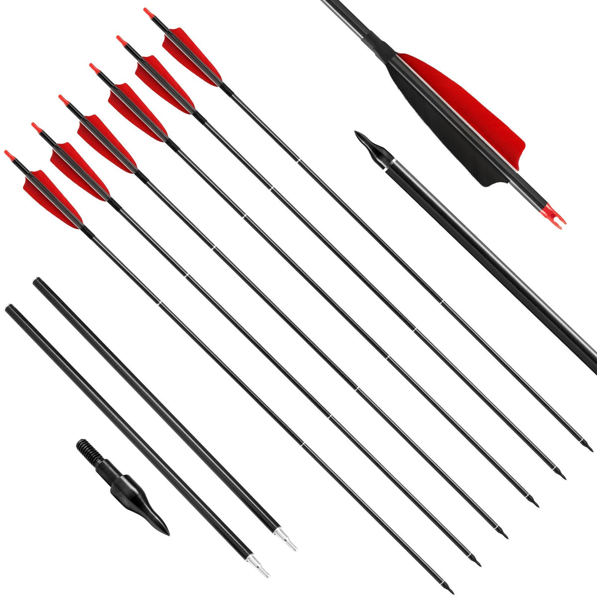 6-Pack Take-Down Carbon Arrows Spine500 5inch Turkey Feather, Aluminum Insert Compound Bow