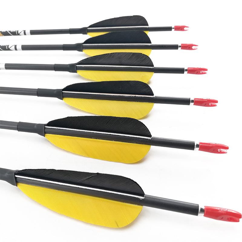 VAP Carbon Arrows ID4.2mm, 3" Turkey Feather, Spine 350-1300, 80gr Tips, Recurve Bow