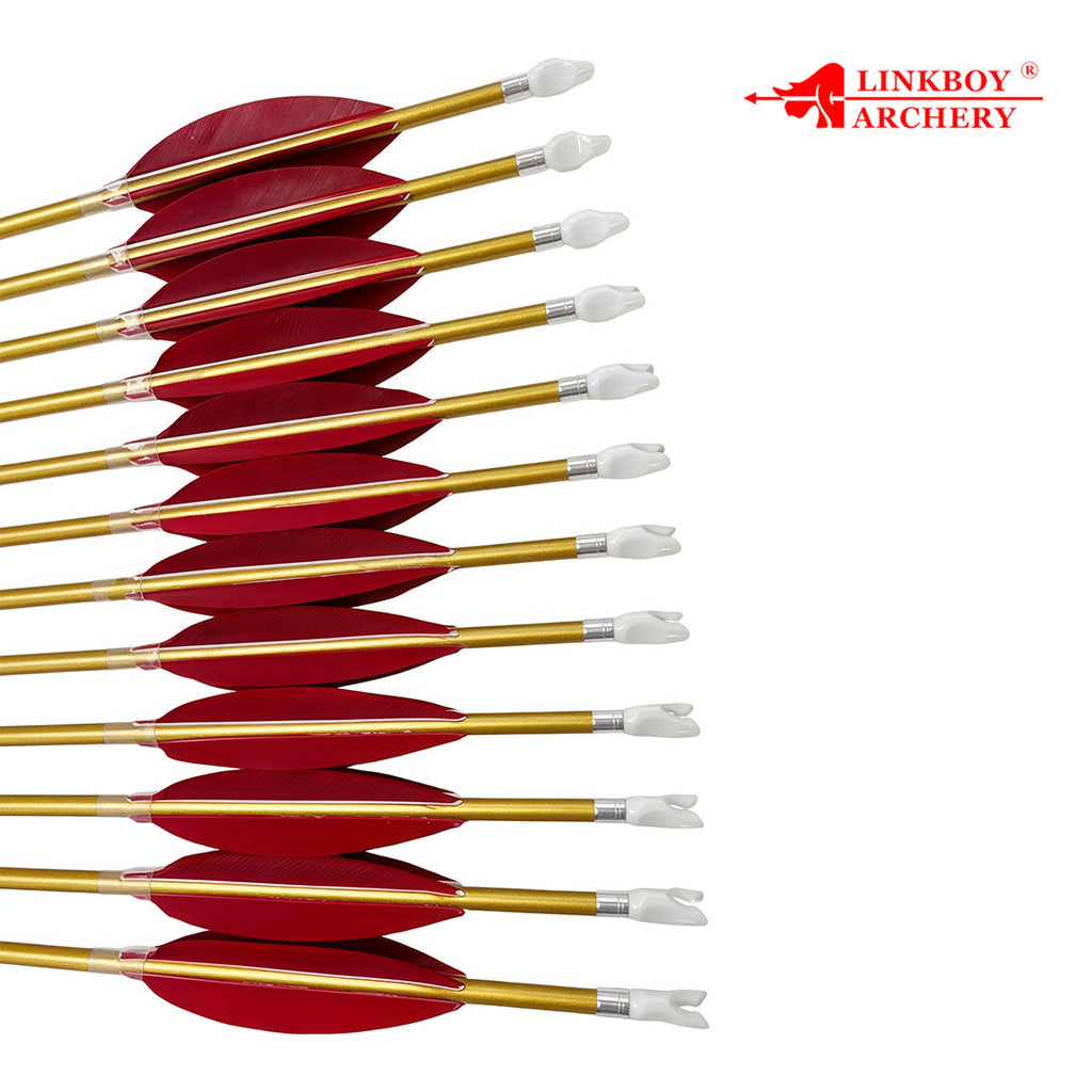 12-Pack Id6.2mm Gold Carbon Arrows 4-Pack 4inch Target, Shuttle Feather Y Insert Nock