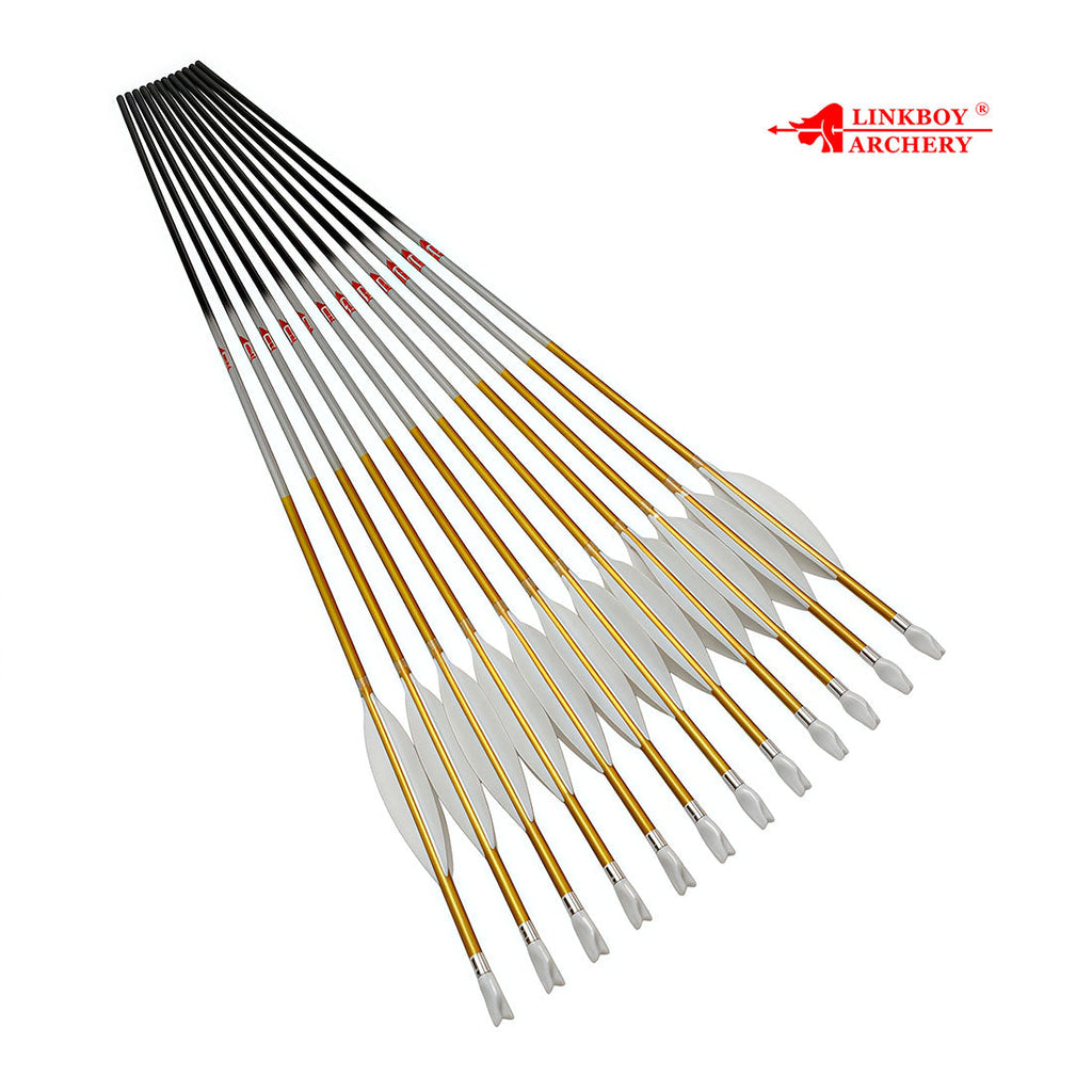 12-Pack Id6.2mm Gold Carbon Arrows 4-Pack 4inch Target, Shuttle Feather Y Insert Nock