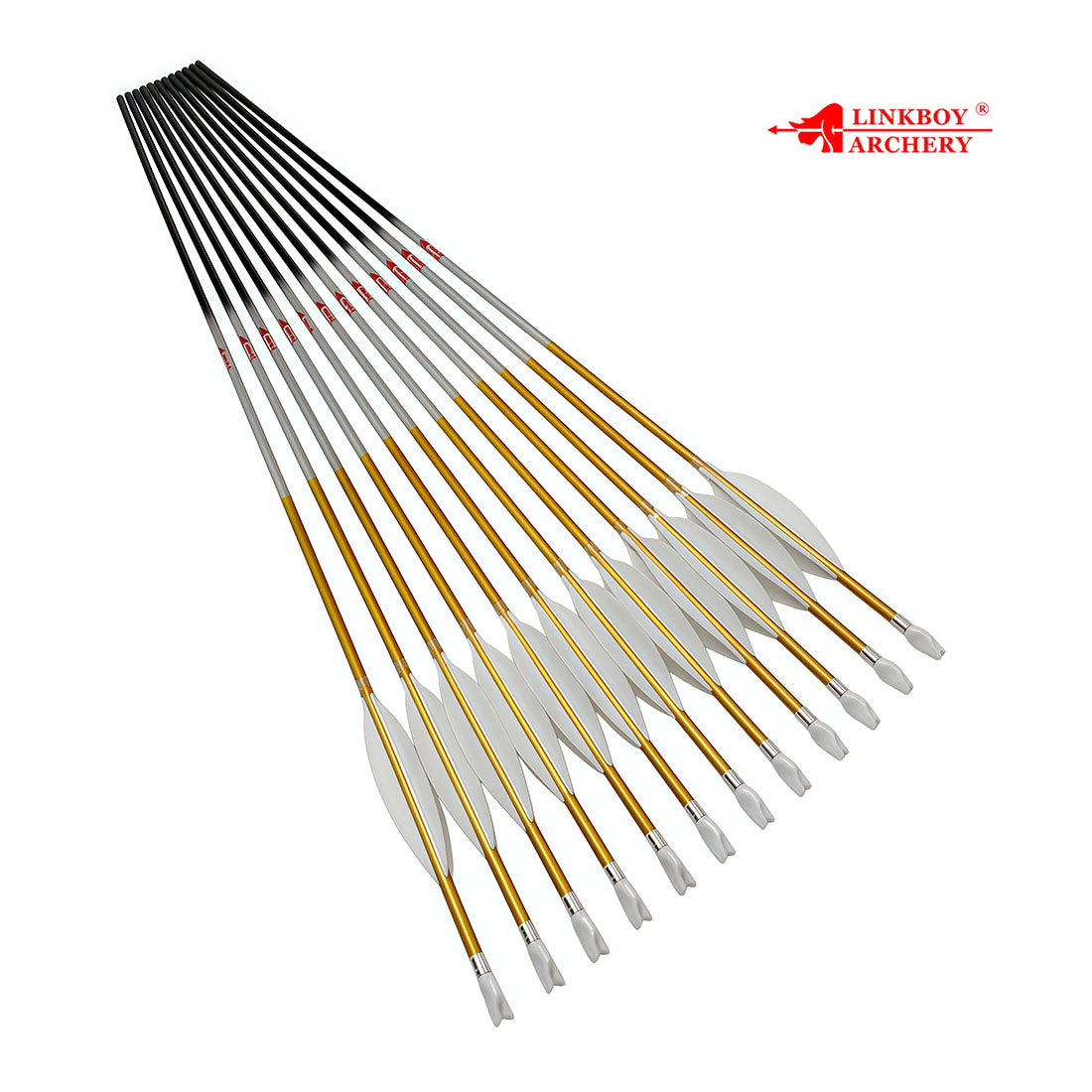 12-Pack Id6.2mm Gold Carbon Arrows 4-Pack 4inch Target, Shuttle Feather Y Insert Nock
