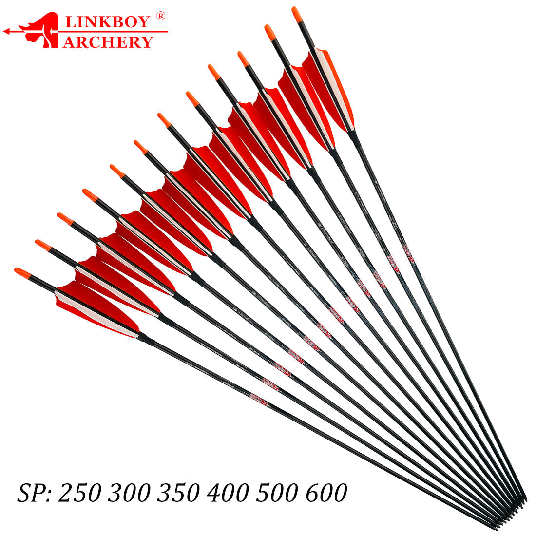 Bow Arrows Carbon Arrow Shaft ID5.2mm Feather Vanes for Compound Recurve Bow Arrows
