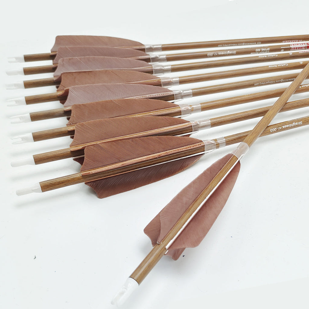 Carbon Hunting Arrows with 100 gr Tips, 12-Pack