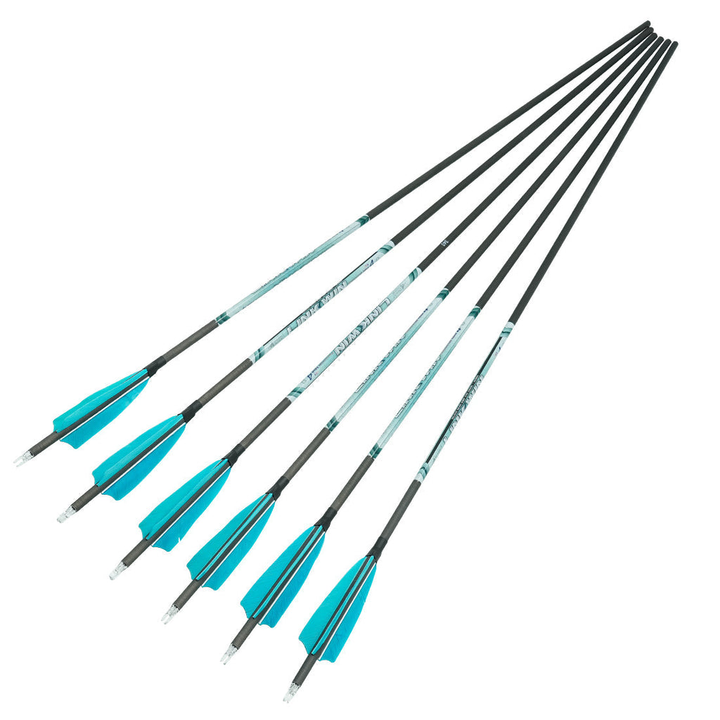 12-Pack Carbon Arrows Bow and Arrow +/-0.001 Straightness Multiple Spine Arrows