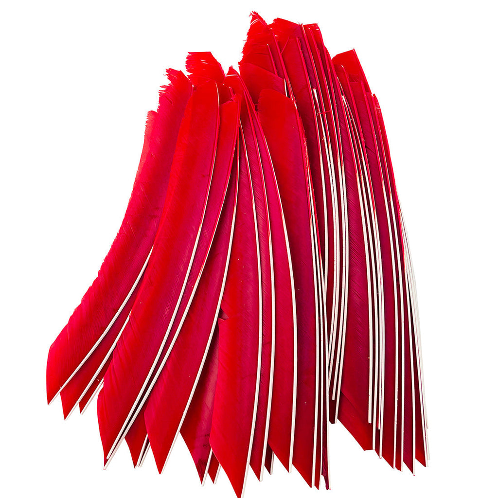 Over 18cm Full Length Turkey Feathers Arrow Fletching on the Arrow Shaft