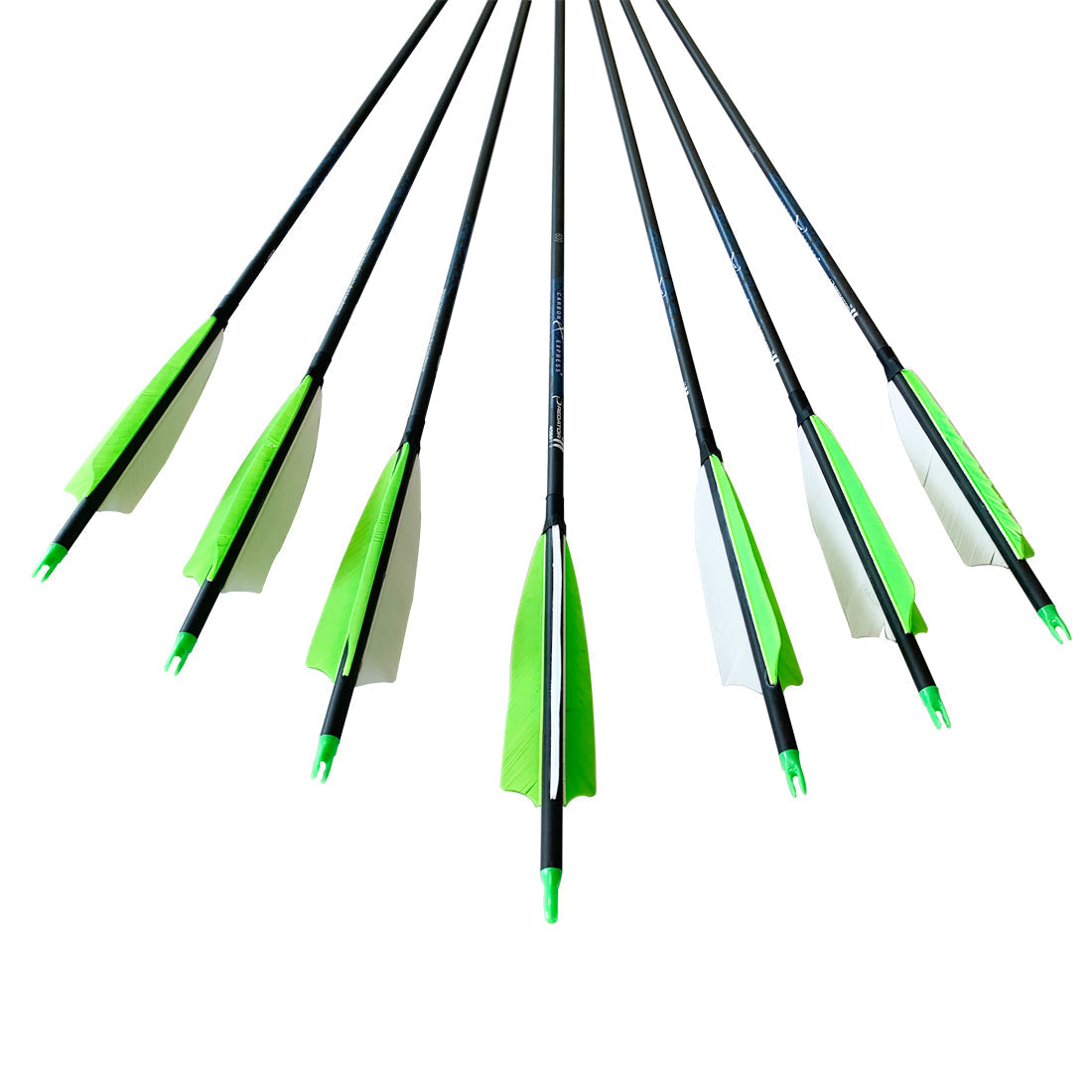 12-Pack Carbon Arrow Spine 200 300 340 400 500 600 700 800 75gr