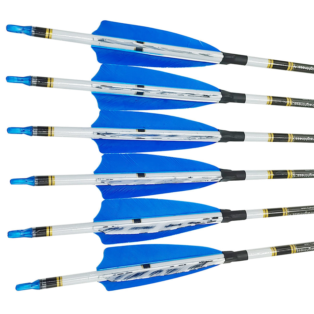 12-Pack Carbon Arrows ID6.2MM Spine 250-1000 4inch Turkey Feather 75gr Tips Compound Bow