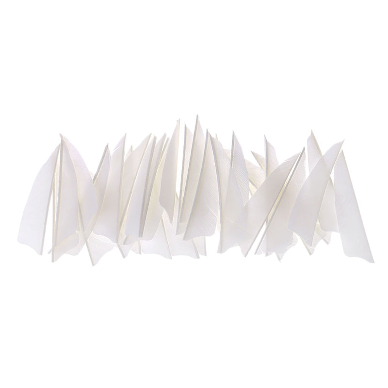 Natural Turkey Feather Fletching 3/4/5 Inch, Shield & Drop Shape, 36-Pack