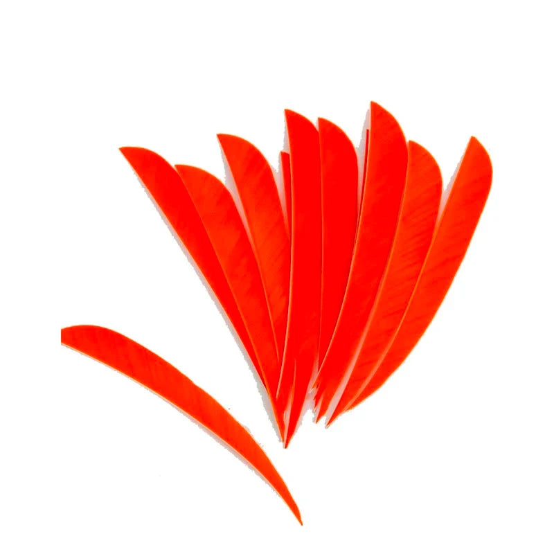 36-Pack 3/4/5 Inch Drop Turkey Feathers Fletching for DIY Arrows Compound Traditional Bow