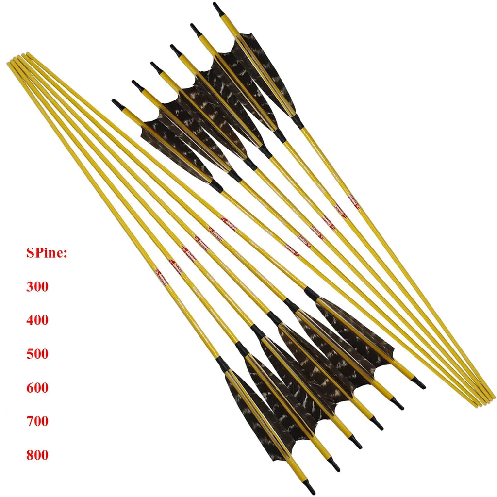 12-Pack Carbon Arrows Bamboo Skin ID 6.2mm 4inch Turkey Feather 75gr Target Point Compound