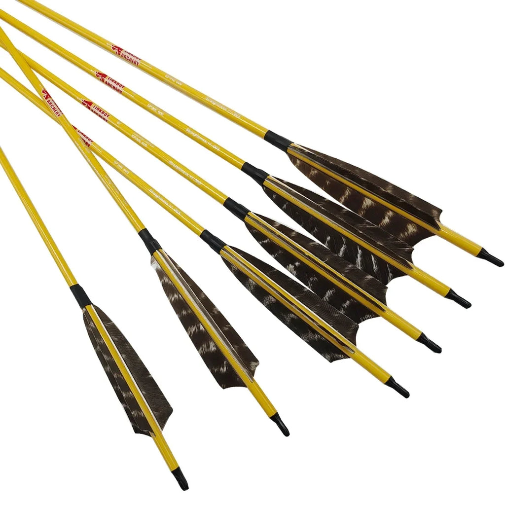 12-Pack Carbon Arrows Bamboo Skin ID 6.2mm 4inch Turkey Feather 75gr Target Point Compound