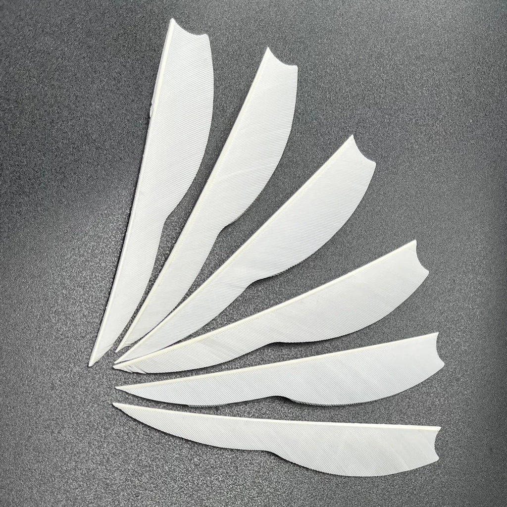 50-Pack Right Wing 4" Sting / RAY / Cupid Arrow Fletch Fletches Fangs Style