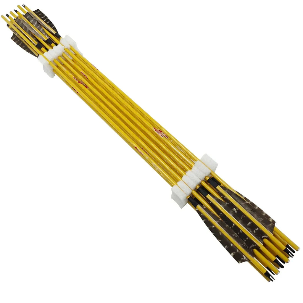 12-Pack Carbon Arrows Bamboo Skin ID 6.2mm 4inch Turkey Feather 75gr Target Point Compound