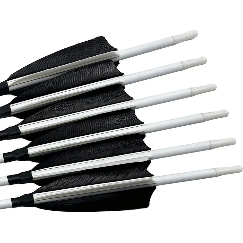 12-Pack Carbon Arrow 30/32 Inch Carbon Arrows Replaceable Arrowhead for Compound/Recurve Bow Targeting