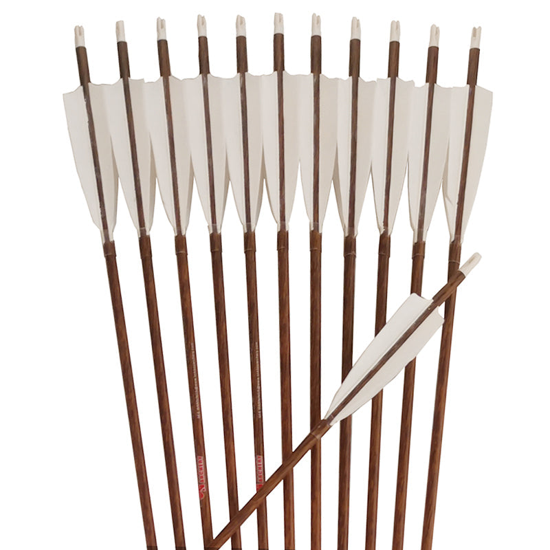 Carbon Hunting Arrows with 100 gr Tips, 12-Pack