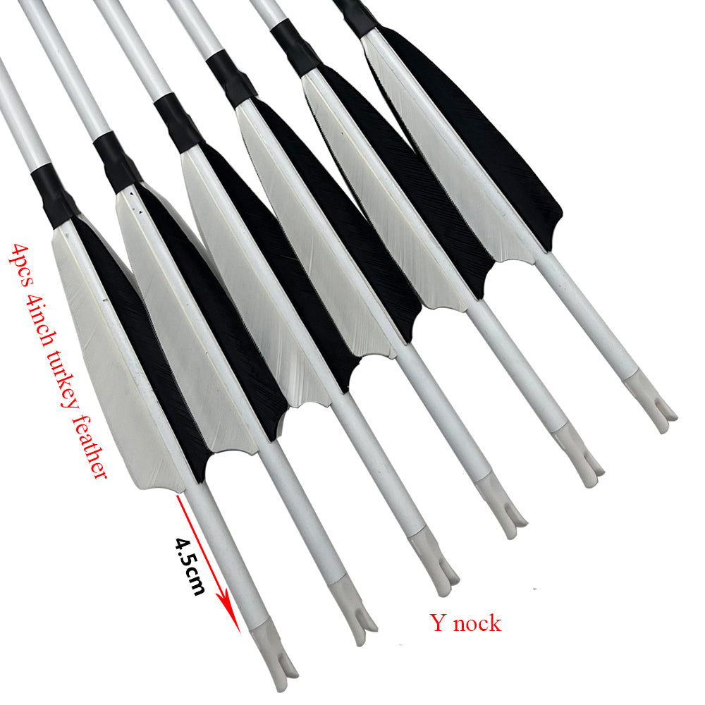 12-Pack Carbon Arrow 30/32 Inch Carbon Arrows Replaceable Arrowhead for Compound/Recurve Bow Targeting