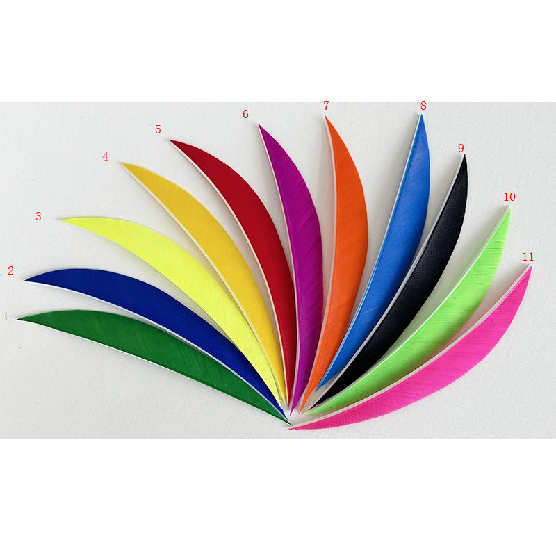 50-Pack Banana Shape 5'' Turkey Feather Fletching, Natural Arrow for Bow & Target