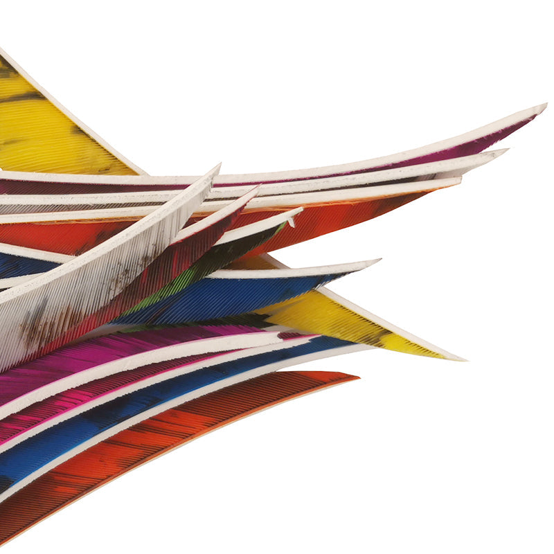 36-Pack 4inch Turkey Feather Arrow Vanes for Carbon Arrows Bow and Arrow