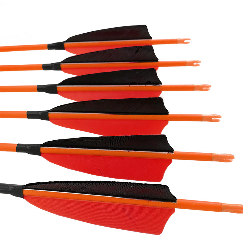 6/12-Pack Carbon Arrows ID4.2mm Spine 700 800 1000 80gr Target Tips Recurve Compound Bow