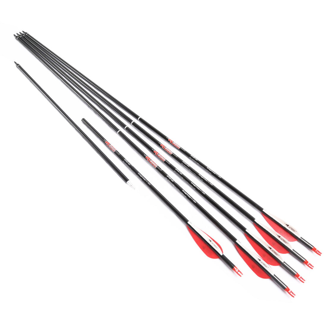 6-Pack Take-Down Carbon Arrows Spine500 5inch Turkey Feather, Aluminum Insert Compound Bow
